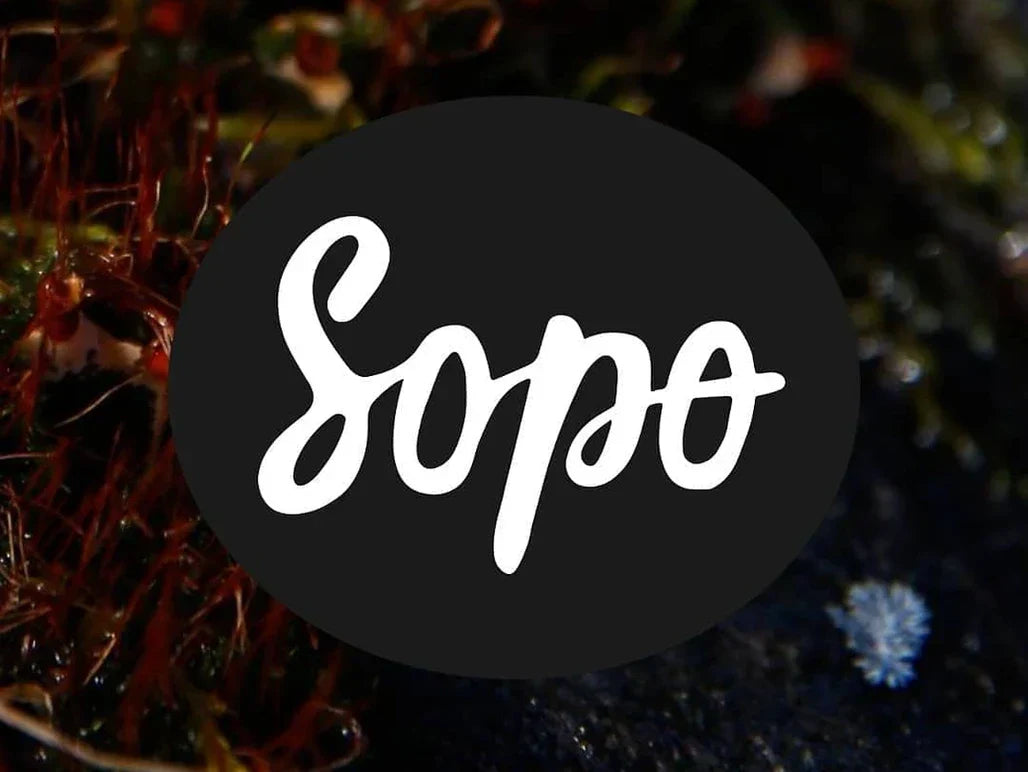 Metsäbiomi Voidepala kokonaisvaltaisen hyvinvoinnin tueksi