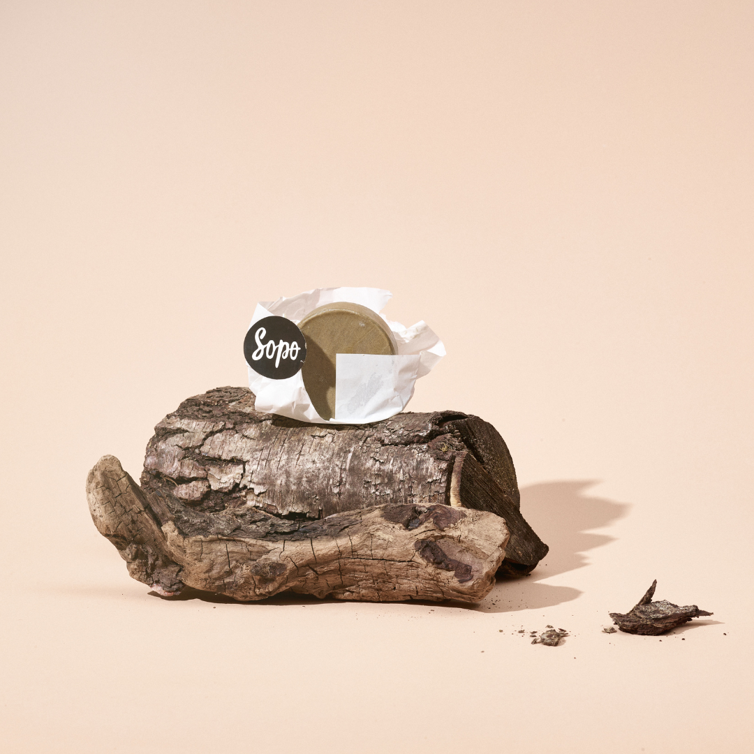 Metsäbiomi Voidepala