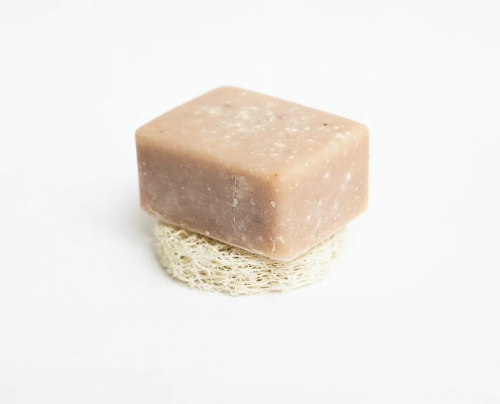 alusta palasaippualle luffa sopo