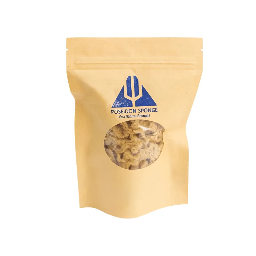 sopo poseidon pesusieni