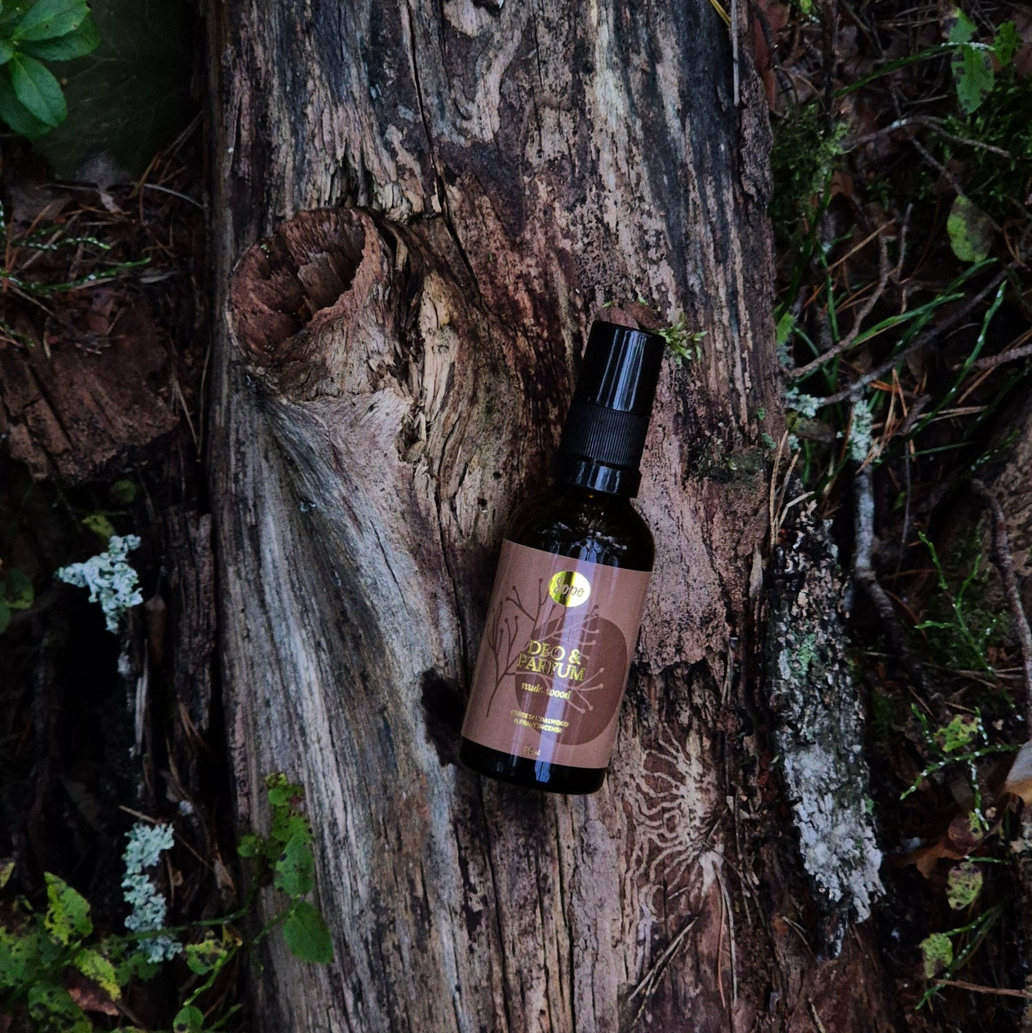 Deo & Parfum - Nude Wood